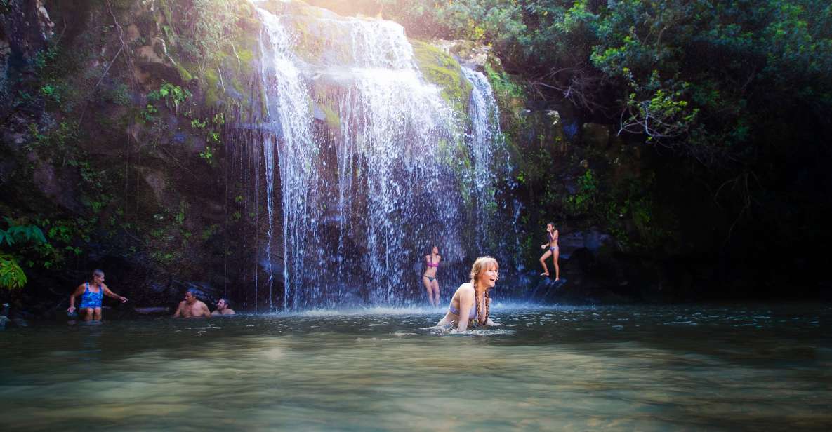 Big Island: Full Day Adventure Tour of the Kohala Waterfalls - Key Points