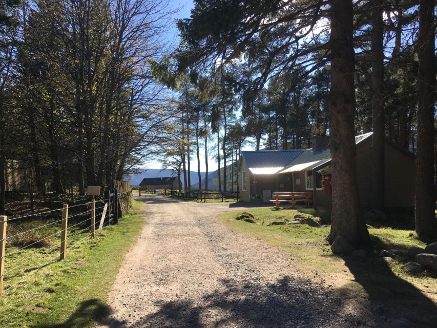 Cairngorms: Lochnagar Guided Walk - Key Points