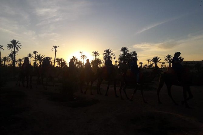 Camel Riding in Marrakech - Experience Overview