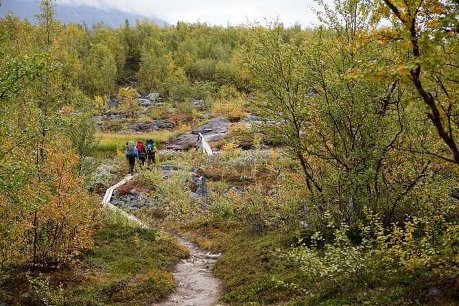 Classic Wilderness Skiing in the Pyhä-Luosto National Park - Key Points