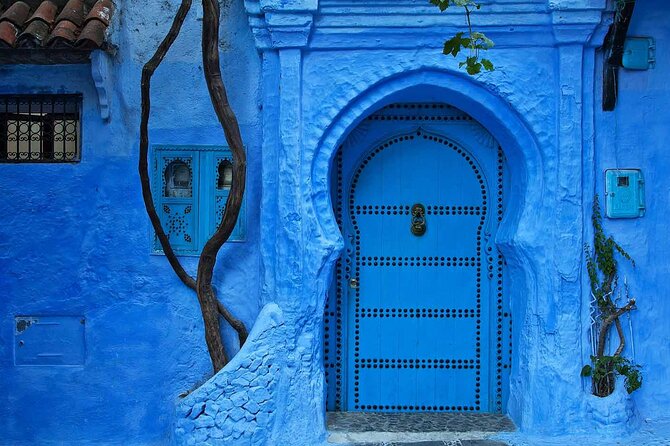 Day Trip Transport From Fes to Chefchaouen (The Blue City) - Overview of the Day Trip