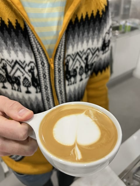 Discover Coffee Experience Latte Art Workshop Review - Key Points