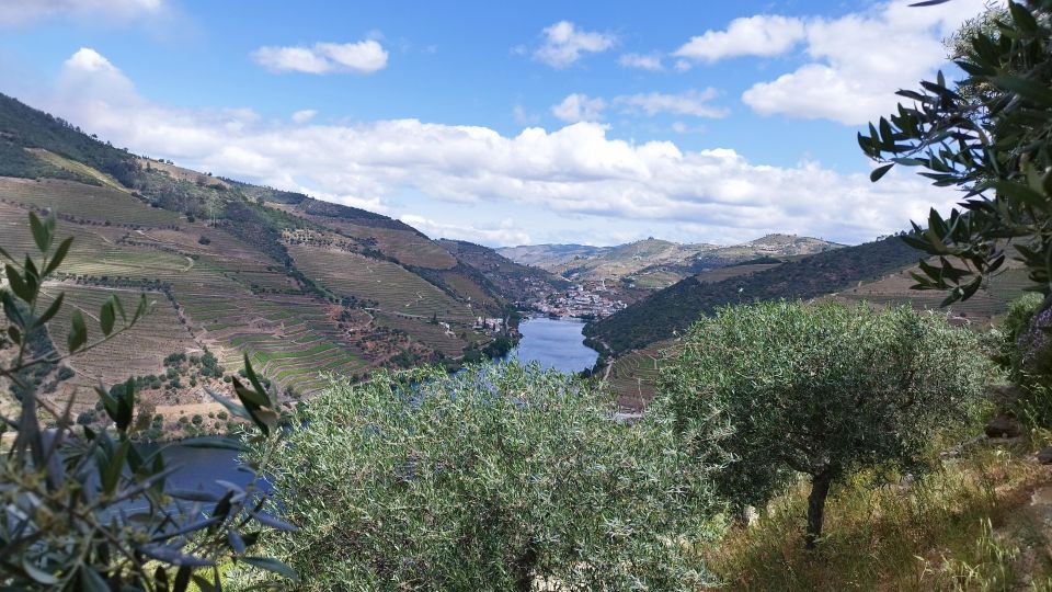 Douro Valley Tour With Wine Tasting Boat Cruise & Suprises.. - Key Points