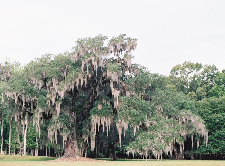 Drayton Hall: Interpreter Guided Tour, Charleston, SC - Key Points