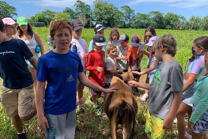 Eco Friendly Farming Tour to Explore Dorados Most Beautiful Farm - Key Points