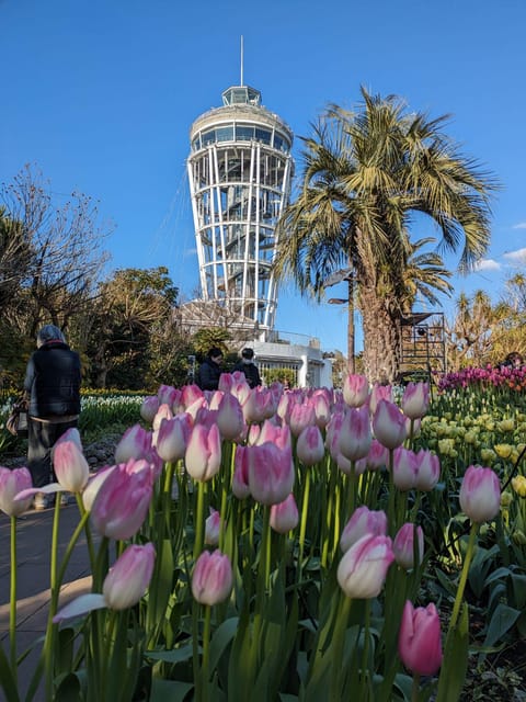 Enchanting Morning Walk on Enoshima Island - Key Points