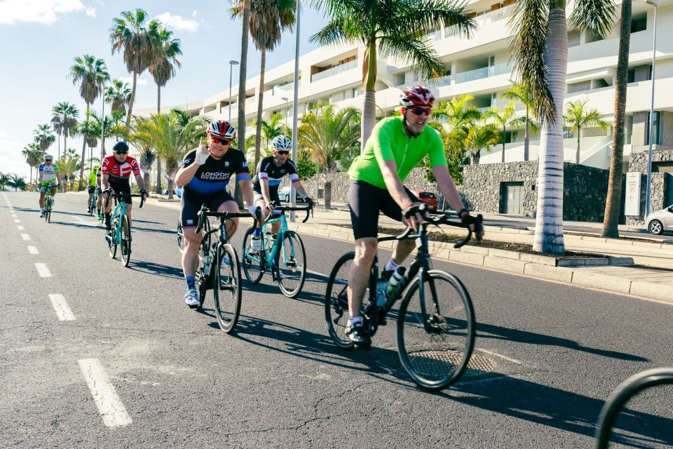 From Adeje: Cliffs of Los Gigantes Guided Cycling Tour - Key Points