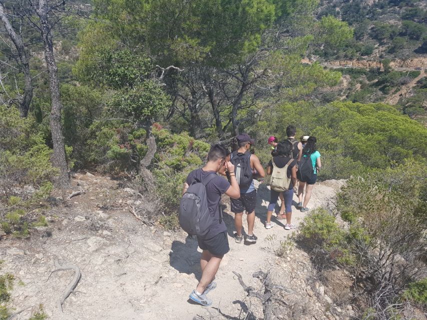 From Barcelona: Costa Brava Trekking and Kayaking Tour - Key Points