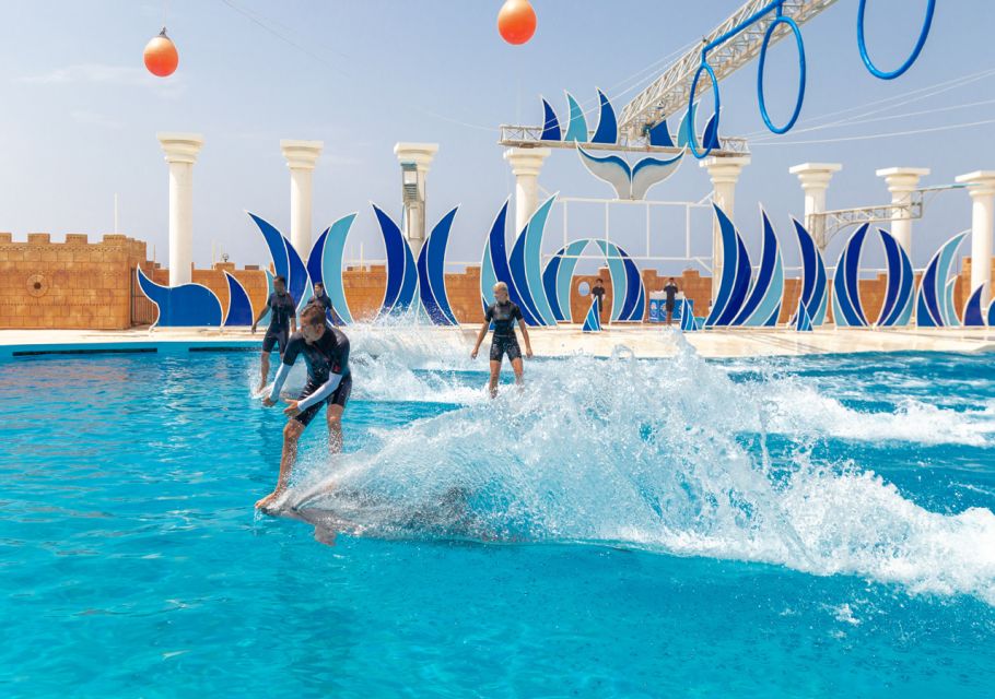 From City of Side/Alanya: Sealanya Dolphin Show W/ Transfers - Key Points