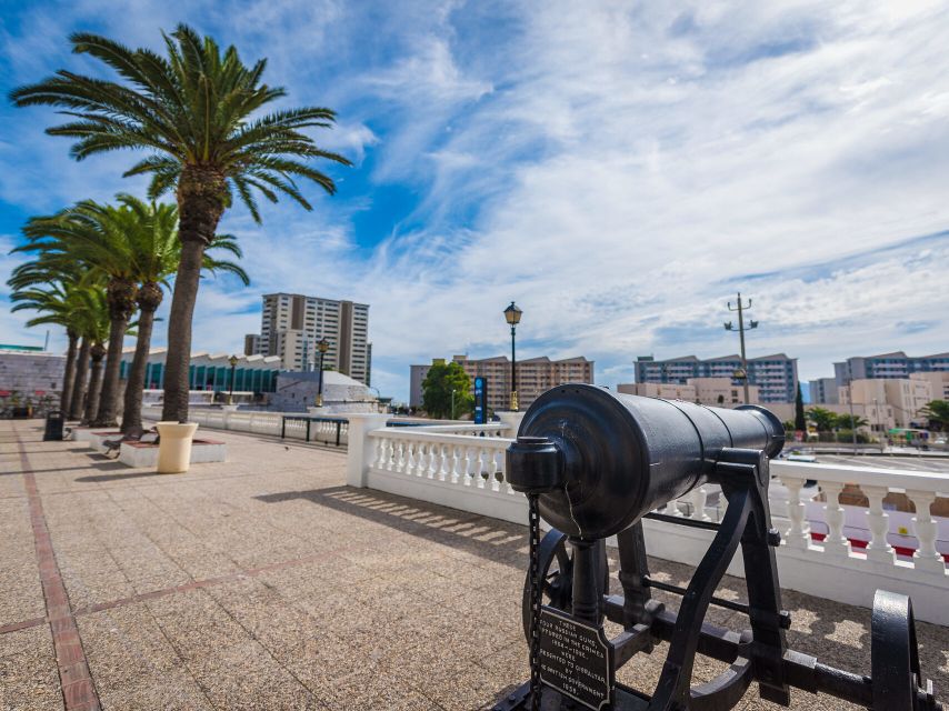 From Costa Del Sol: Gibraltar Dolphin Watching by Boat - Key Points