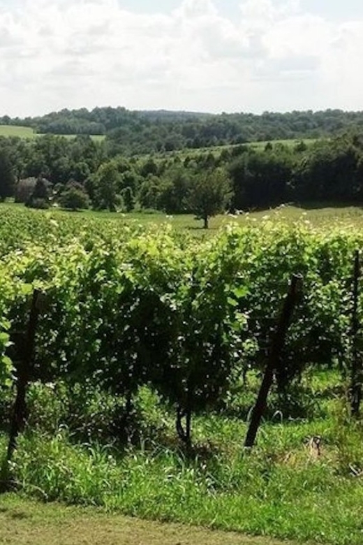 From DC or Balt: Westminster Region Wine Tour With Lunch - Pickup and Drop-off