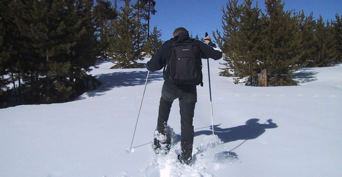 From Gardiner: Yellowstone National Park Snowshoe Tour - Key Points