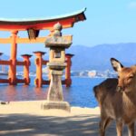 From Hiroshima: Hiroshima And Miyajima Island 1 Day Bus Tour Transportation And Inclusions