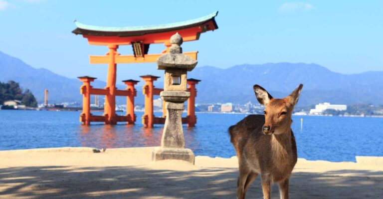 From Hiroshima: Hiroshima And Miyajima Island 1 Day Bus Tour Transportation And Inclusions