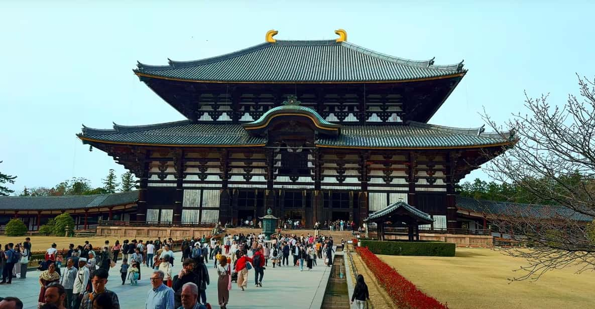 From Kyoto/Osaka: Nara Sightseeing Private Day Tour - Key Points