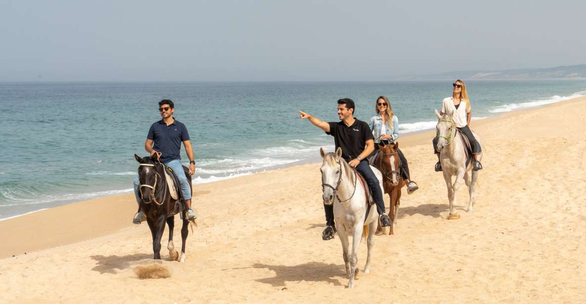 From Lisbon: Comporta and Setúbal Trip With Horseback Riding - Key Points