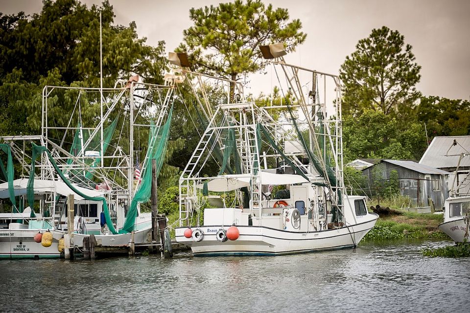 From New Orleans: Airboat Adventure Tour - Key Points