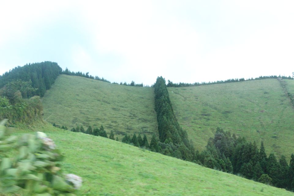 From Ponta Delgada: Lagoa Do Fogo Half-Day Guided Trip - Key Points