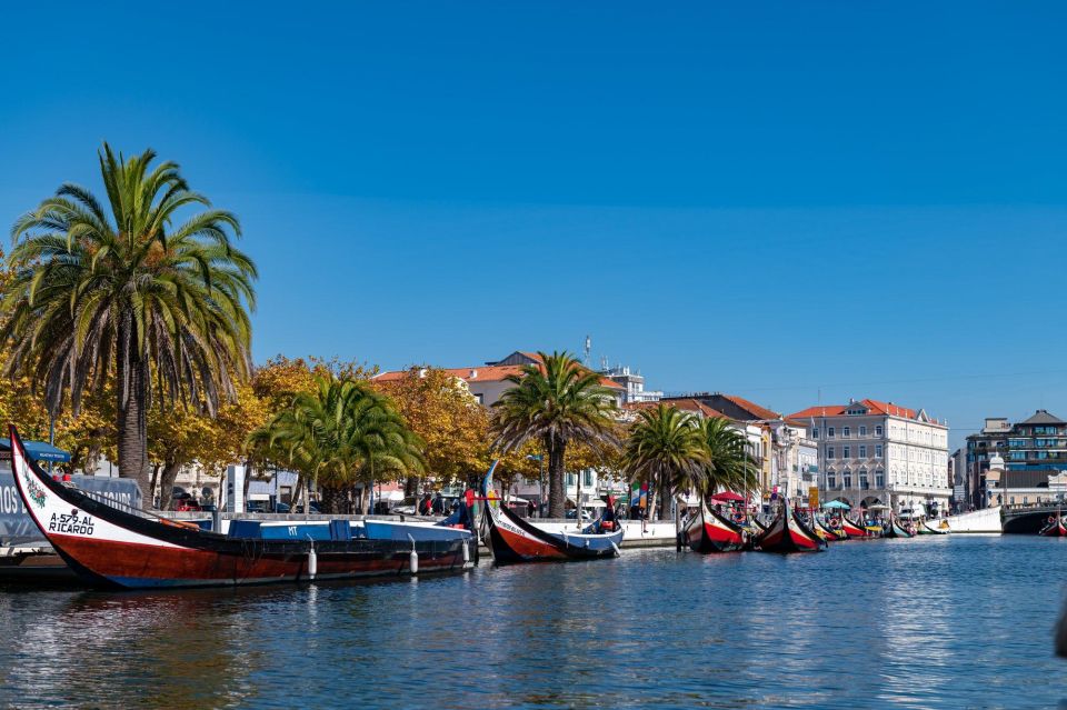 From Porto: Full Day Tour to Coimbra/Aveiro, All Inclusive - Key Points