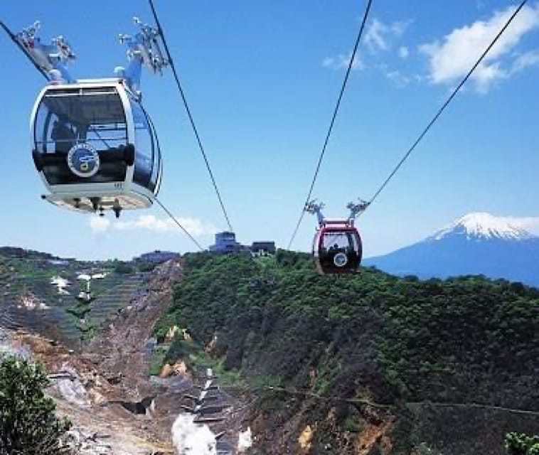 From Tokyo: Hakone, Lake Asahi & Oshino Hakkai Private Tour - Key Points