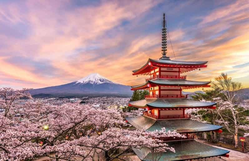 From Tokyo: Mount Fuji Day Trip With English Speaking Driver - Key Points