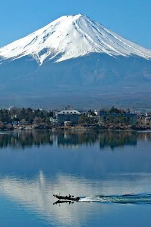 From Tokyo: Mount Fuji Full Day Private Tours English Driver - Tour Overview and Pricing