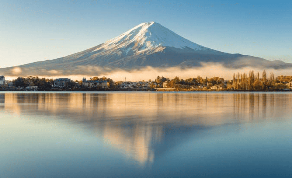 From Tokyo: Mount Fuji Full Day Private Tours English Driver - Key Points