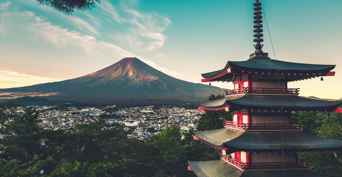 From Tokyo: Mt. Fuji or Hakone Private Sightseeing Day Trip - Key Points