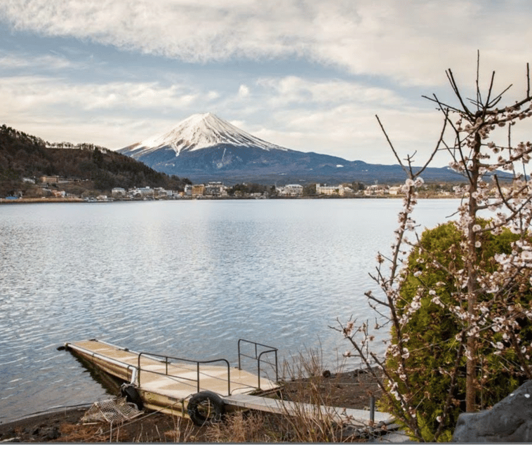 From Tokyo: Mt Fuji Private Day Tour In Luxury Land Cruiser - Pickup and Itinerary