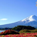 From Tokyo: Mt. Fuji Private Day Tour With English Driver Tour Overview