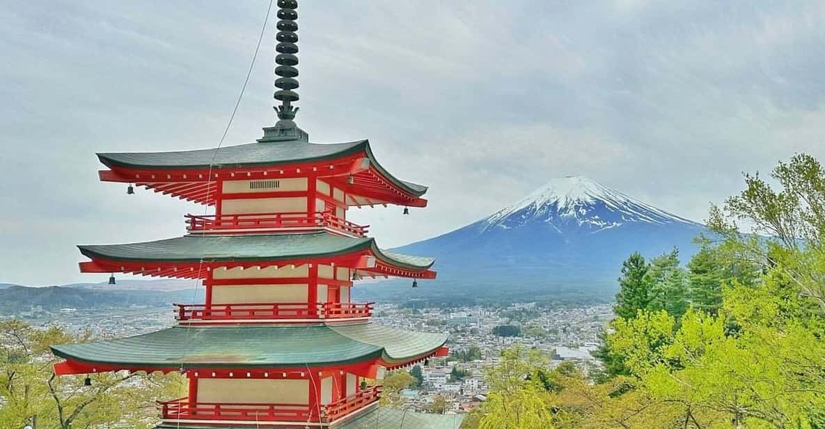 From Tokyo:Mount Fuji Customize Day Tour With English Driver - Key Points