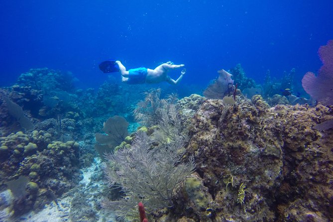 Full-Day Catalina Island Snorkeling Tour From Punta Cana - Cruise Along Dominican Republic Coast