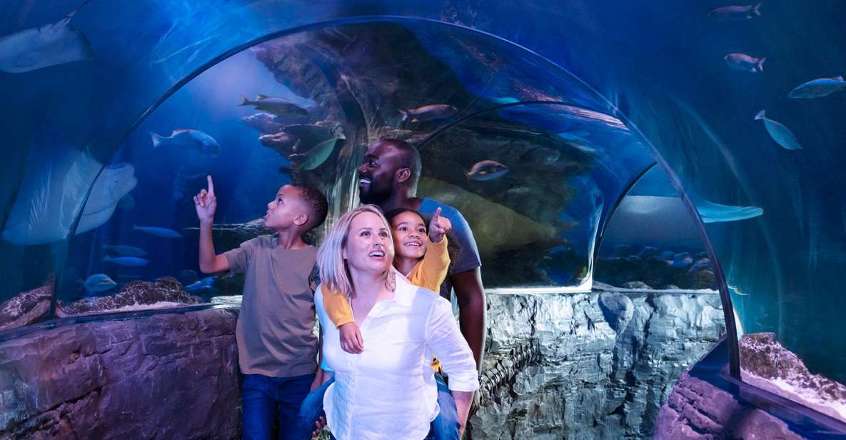 Grapevine: SEA LIFE Grapevine Aquarium General Admission - Key Points