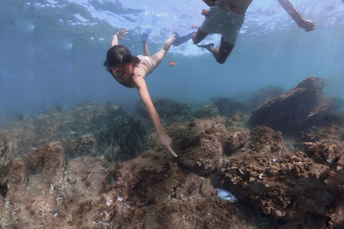 Guided Snorkeling in a Secret Spot of Begur, Costa Brava - Overview of the Snorkeling Experience