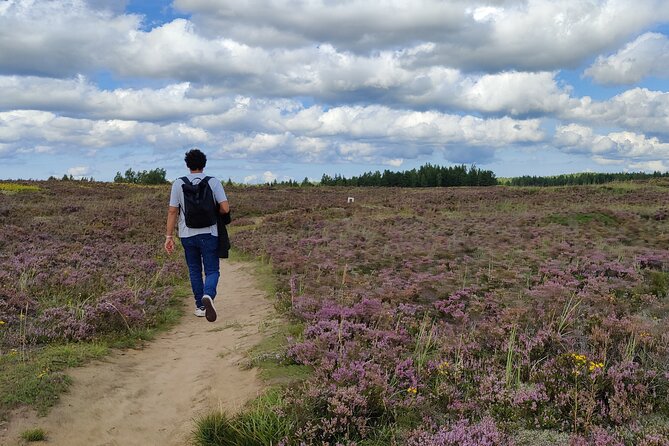 Half Day Hiking Tour in Beautiful Estonian Nature - Booking Information