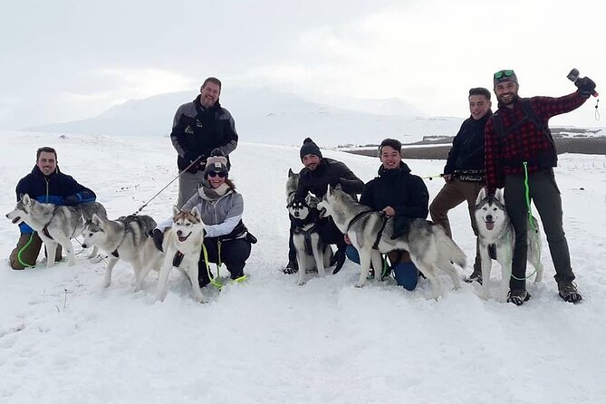 Hiking With Husky in Akureyri (Private) - Safety Precautions