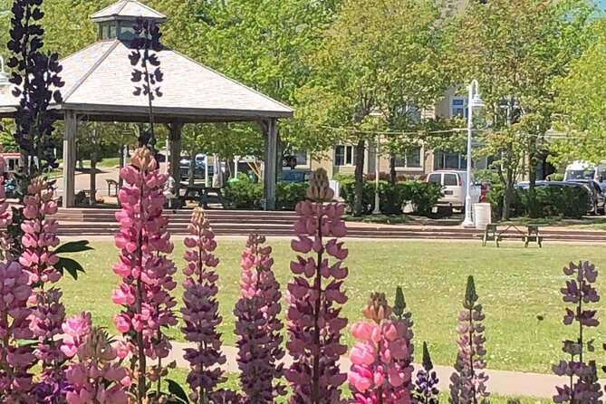 Historic Walking Tour of Charlottetown - Key Points