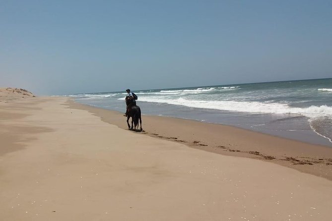 Horse Riding in Agadir National Park - Overview of Agadir National Park