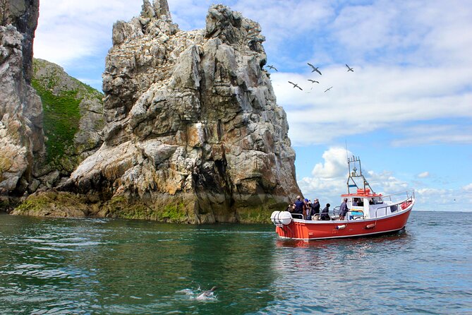 Howth Coastal 1 Hour Boat Tour (Irelands Eye Ferries) - Key Points