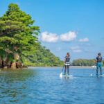 Iriomote Island: Mangrove River Sup Cruising Tour Meeting Point And Contact