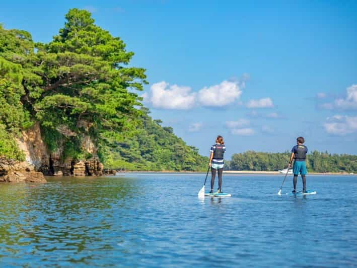 Iriomote Island: Mangrove River SUP Cruising Tour - Meeting Point and Contact