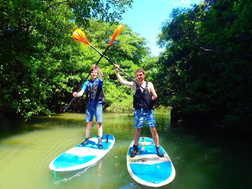 Ishigaki Island: SUP/Kayaking and Snorkeling at Blue Cave - Key Points