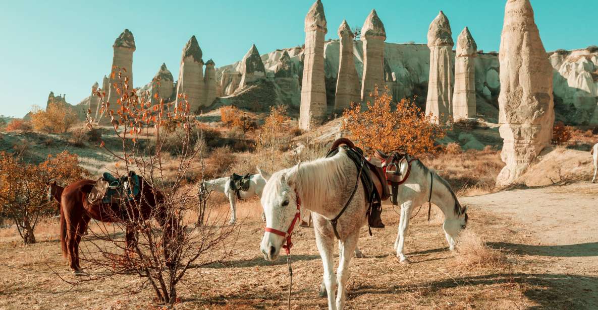 Istanbul to Cappadocia All Inclusive Private Day Tour - Key Points