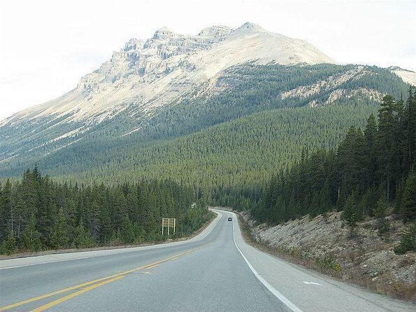 Jasper to Lake Louise One-Way Tour - Key Points