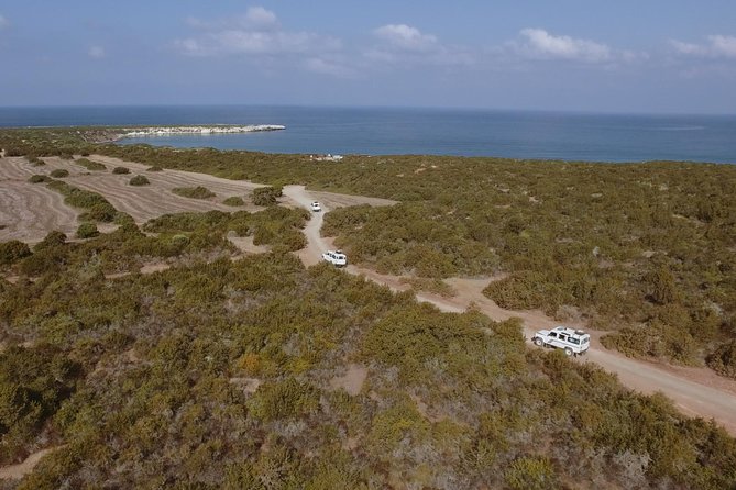 Jeep Safari Akamas Expedition From Paphos - Key Points