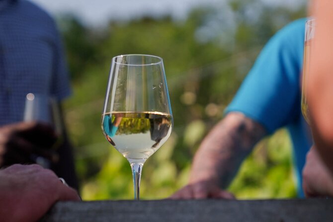 Jersey Premium Vineyard and Distillery Wine Tour and Tasting - Key Points