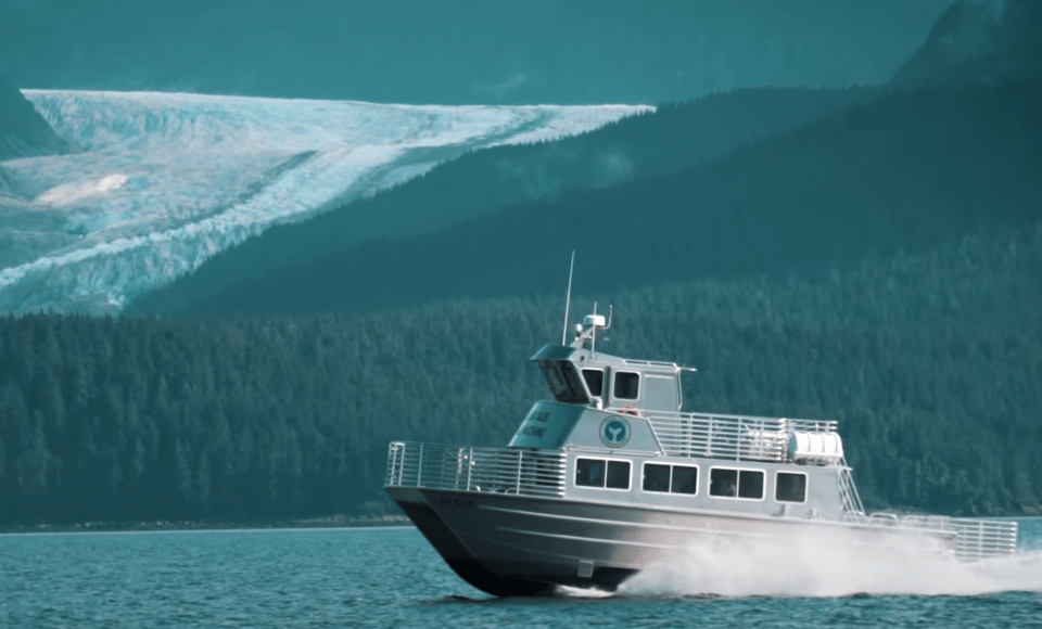 Juneau: Whale Watching and Wildlife Cruise With Local Guide - Local Flora and Fauna