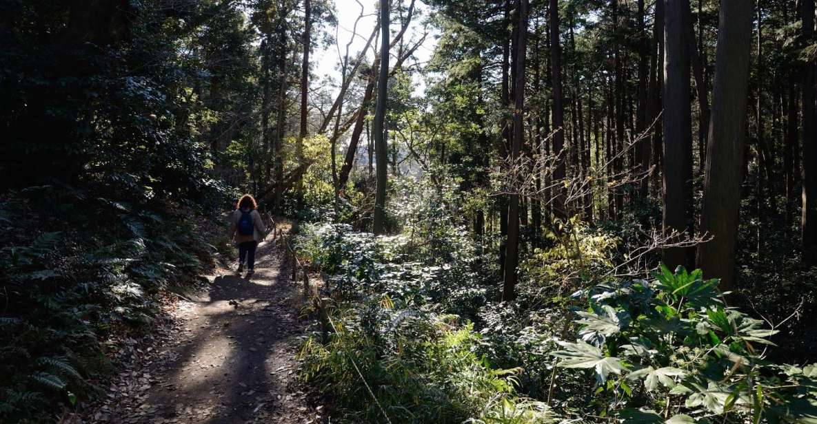 Kamakura: Daibutsu Hiking Trail Tour With Local Guide - Key Points