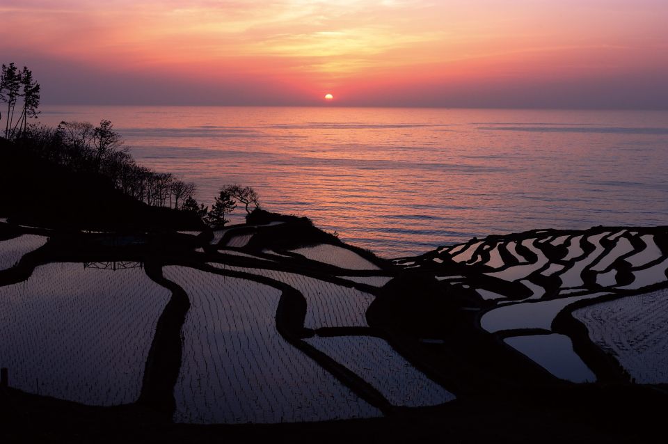 Kanazawa: Noto Peninsula Private Day-Tour - Key Points