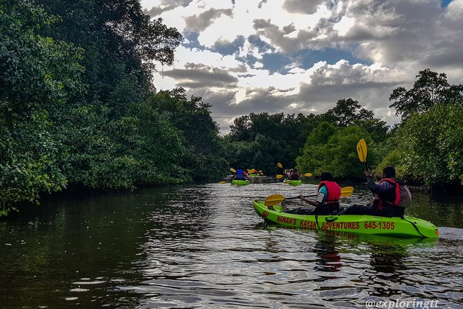 Kayak Adventure in the Second Largest Swamp of Trinidad and Tobago - Tour Inclusions and Logistics